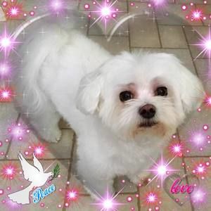 Meet your Posher, June